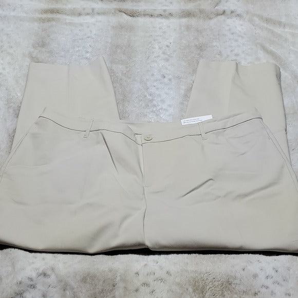 NWT Christopher & Banks Beige Classic Fit Straight Leg High Rise Pants 24WP