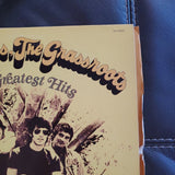 Golden Grass The Grassroots Their Greatest HIts LP DS-50047-B 1968