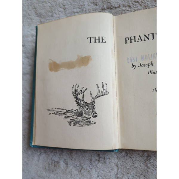 The Phantom Deer by Joseph Wharton Lippincott 1954 HC Ex Library Paul Branson