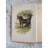 A SEWELL Black Beauty The Autobiography of a Horse 1895 HC Thomas Crowell Vtg