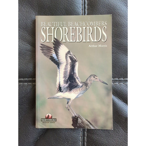 Beautiful Beachcombers Shorebirds by Arthur Morris. Paperback 1996