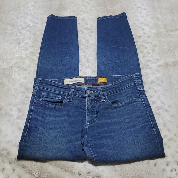 Pilcro and the Letterpress Low Rise Skinny Blue Jeans Size 26