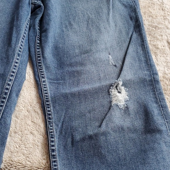 Level 99 Medium Wash Mid Rise Sienna Tomboy Blue Jeans Size 29