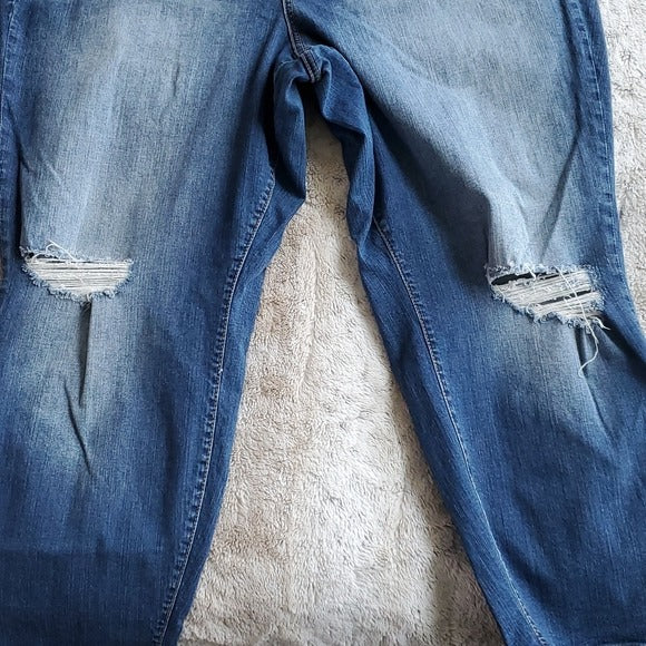 Torrid Ex Boyfriend Fit High Rise Distressed BlueJeans Size 24R