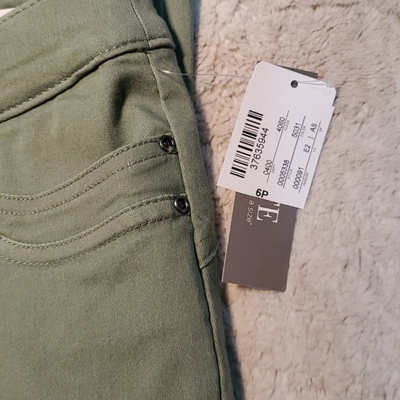 NWT Christopher & Banks Green Straight Fit Ankle Pants